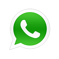 shahi international whatsapp contact